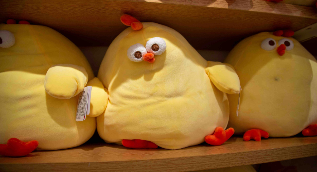 Obesity and period cramps