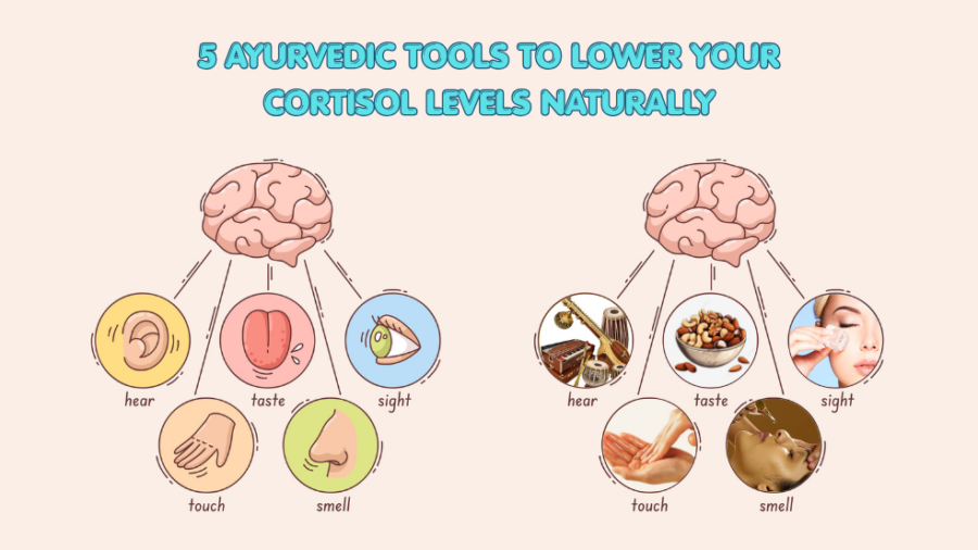 5 Ayurvedic tools to reduce cortisol levels naturally