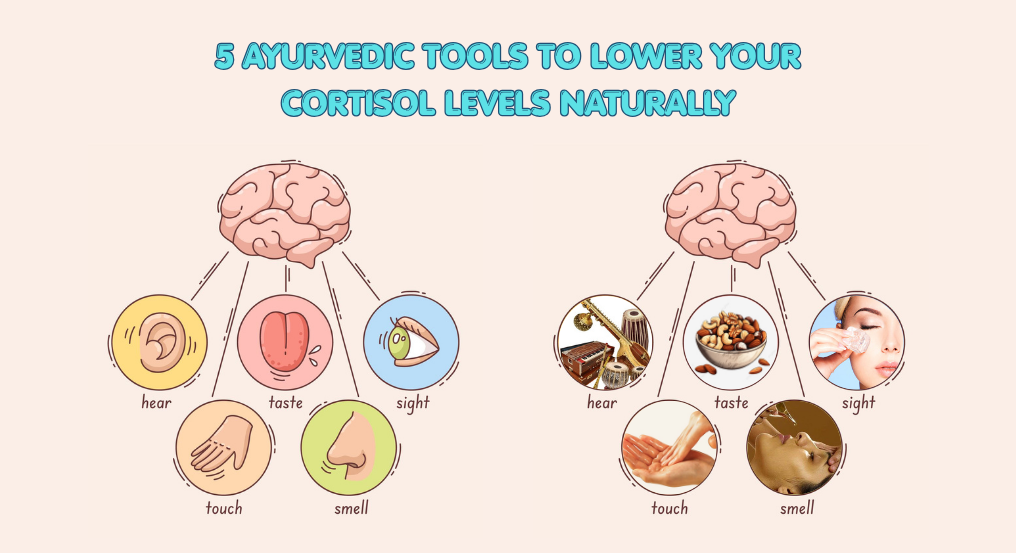 5 Ayurvedic Tools to Lower Your Cortisol Levels Naturally